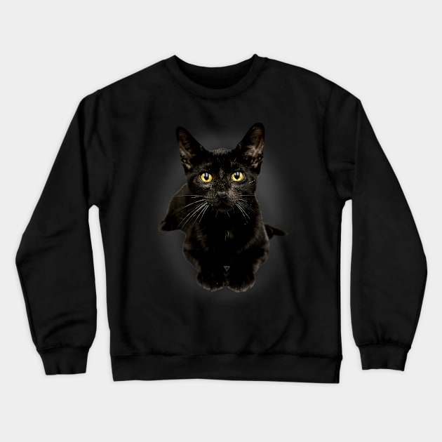 Black Cat Yellow Eyes Cute Kitty For Cat Owners Crewneck Sweatshirt by Blink_Imprints10